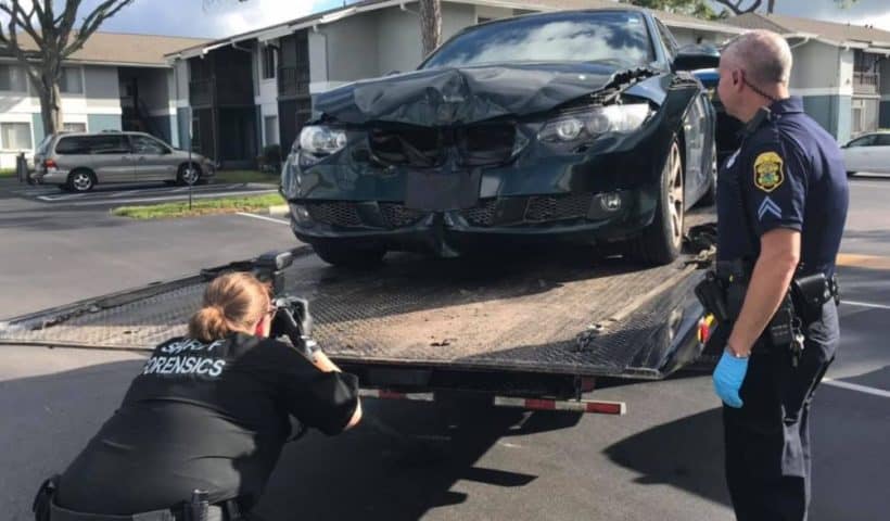 car in clearwater hit and run