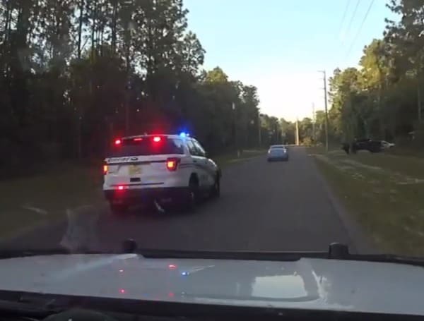 Its Not Even 8 OClock Yet Man Florida Man Runs From Police Gets Tasered