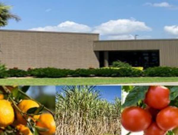 UF IFAS Hosts English Spanish COVID 19 Safety Webinars For Farm Labor Supervisors To Protect Workers