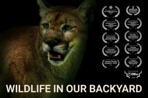 5622636 official poster wildlife in our 300x200 1