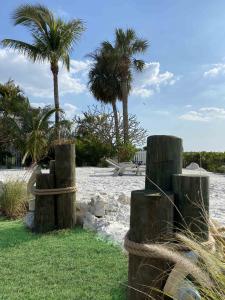 6078982 florida beach backyard 225x300 1