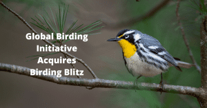 12802283 global birding initiative 300x157 1