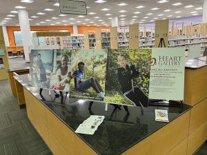 sarasota selby library helps lo