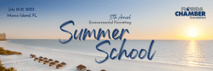 16412234 2023 summer school banner 300x100 1