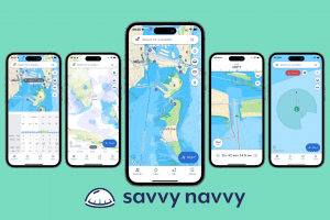 17234574 savvy navvy app 300x200 1