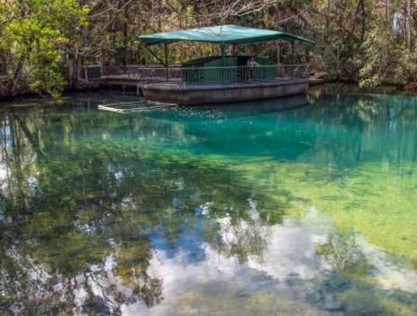 Exploring Florida's Hidden Natural Gems: A Unique Adventure