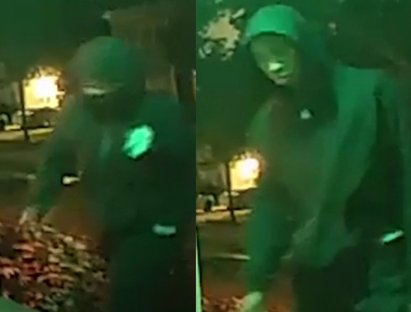 Video Tampa Police Needs Your Help Identifying 2 Porch Pirates 8300