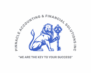 19884843 pinnacle accounting and financi 300x240 1