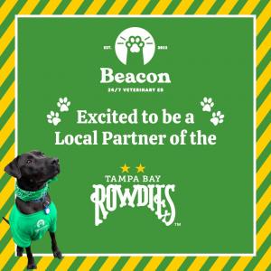 20838243 beacon rowdies announcement 300x300 1