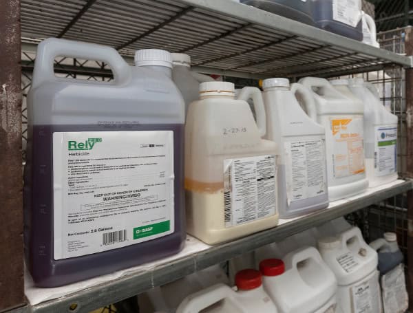 Pesticides are shown safely stored on a shelf. (Photo by Tyler Jones, UF/IFAS)