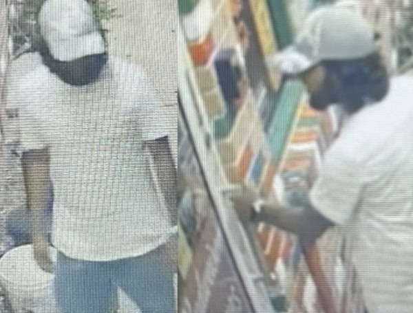 Port Richey Vandalism: Suspect Sought For Throwing Rock, Damaging Property