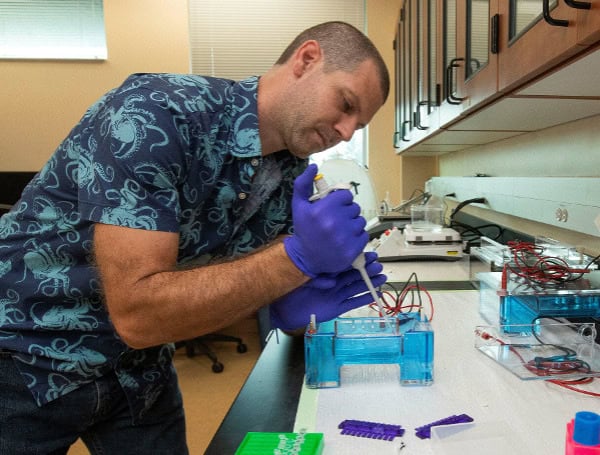 Brian Bahder in his lab at the UF/IFAS Fort Lauderdale Research and Education Center Courtesy UF/IFAS