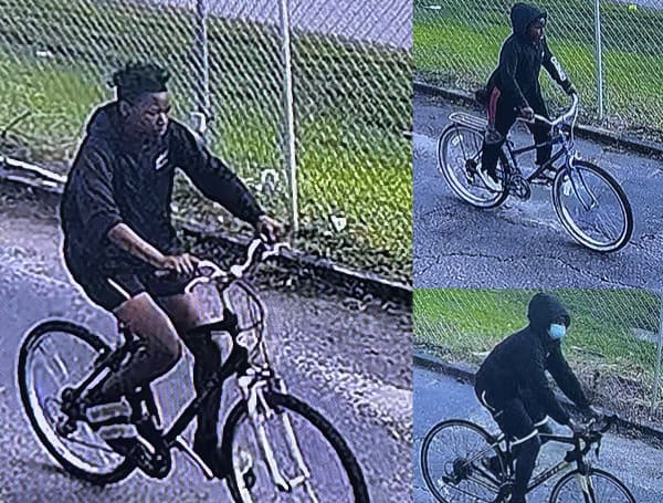 Grand Theft In St. Petersburg: Pinellas Couty Detectives Seek Help To ID Juvenile Suspects