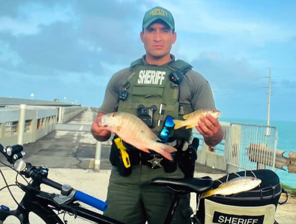 Miami Man Cited For Undersized Fish In The Florida Keys: Monroe County Sheriff