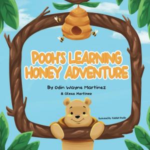 22092550 pooh s honey learning adventure 300x300 1