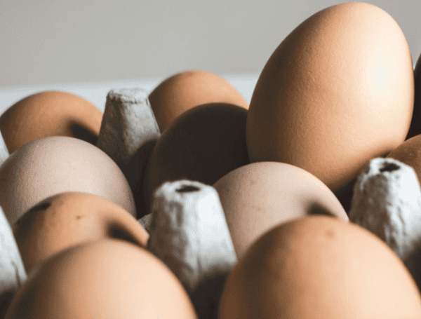 Eggs (Unsplash)