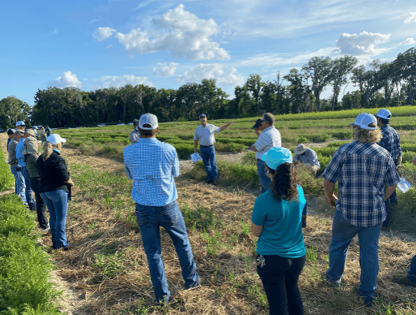 Bob Hochmuth, assistant director of the UF/IFAS North Florida Research and Education Center-Suwannee Valley, presents new information to farmers at the Carrot Field Day. Courtesy, UF/IFAS