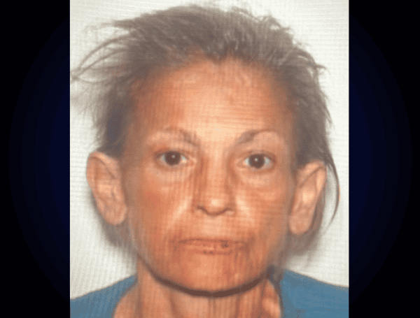 Pasco Deputies Search for Missing New Port Richey Woman