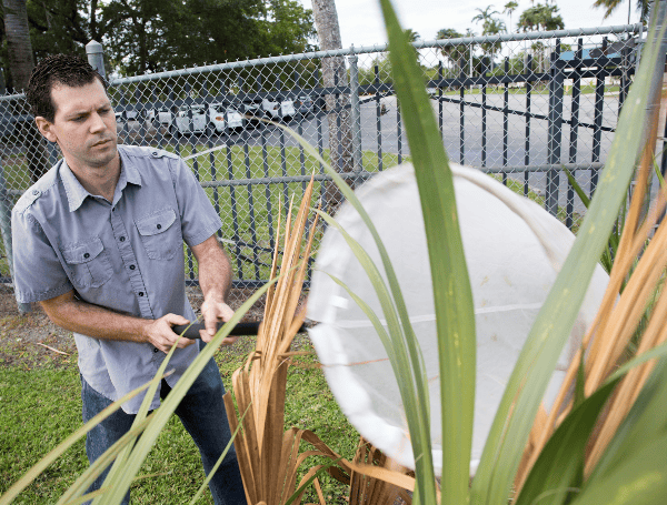 Brian Bahder demonstrates a technique for capturing hoppers in a variety of environments. UF/IFAS photography