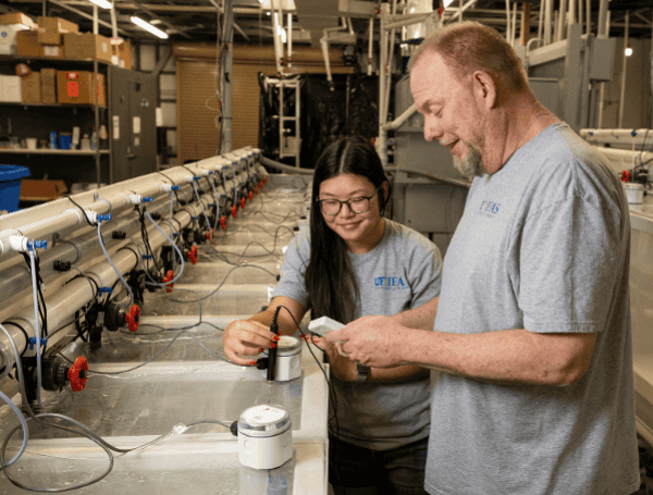 UF/IFAS professor Jeffrey Hill and master’s degree student, Meghan Eaton, are measuring water temperature as part of a risk assessment.