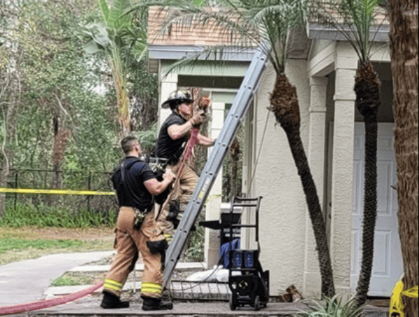 Dog Rescued, 16 Displaced In Bradenton Apartment Fire